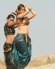 Sexy Sheena Shahabadi Photos 41