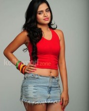 Sexy Sheena Shahabadi Photos 42