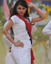 Sexy Sheena Shahabadi Pictures 07