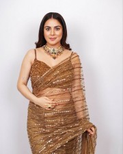 Sexy Shraddha Arya in a Brown Transparent Saree Photo 01