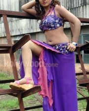 Sheela Hot Navel Photos 02