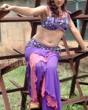 Sheela Hot Navel Photos 03