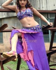 Sheela Hot Navel Photos 05