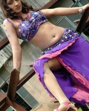 Sheela Hot Navel Photos 06