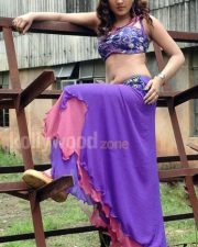 Sheela Hot Navel Photos 07