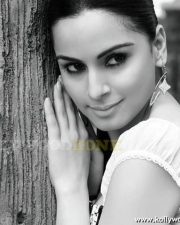 Shraddha Arya Hot Pics 08