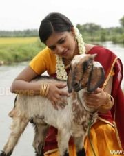 Sonna Puriyathu Heroine Vasundhara Pictures 10