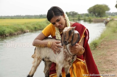 Sonna Puriyathu Heroine Vasundhara Pictures 10