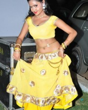 Telugu Glamour Actress Shreya Vyas Sexy Photos 12