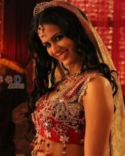 Tenaliraman Heroine Meenakshi Dixit Pictures 07