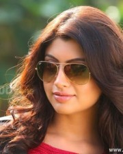 Thigar Movie Heroine Akanksha Puri Stills 08 Thigar Movie Heroine Akanksha Puri Stills 08