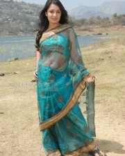 Actress Nikitha Saree Photos 05 Actress Nikitha Saree Photos 05