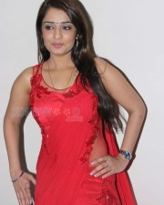 Actress Nikitha Sexy Saree Photoshoot Stills 09 Actress Nikitha Sexy Saree Photoshoot Stills 09