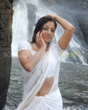Actress Swetha Stills 001 Actress Swetha Stills 001
