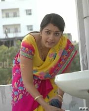 Hot Nikitha Cleavage Picture 01