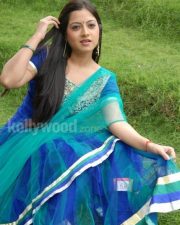 Telugu Actress Keerthi Chawla Pictures 17