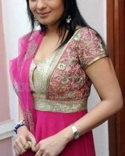 Telugu Actress Nikitha Pics 09