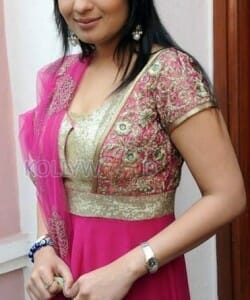 Telugu Actress Nikitha Pics 09