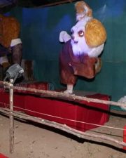 Actress Adhiti Menon Inagaurates 43Rd India Tourism And Trade Fair Animal Kingdom In Chennai Photos 06