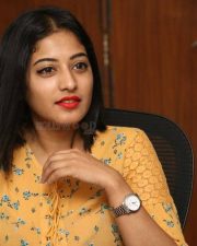 Actress Anjali Nair Stills At Nedunalvaadai Thanks Giving Meet 06