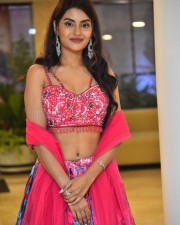 Actress Garima at Seetha Kalyana Vaibhogame Pre Release Event Pictures 05