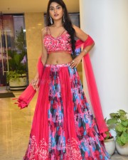 Actress Garima at Seetha Kalyana Vaibhogame Pre Release Event Pictures 19
