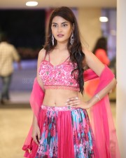 Actress Garima at Seetha Kalyana Vaibhogame Pre Release Event Pictures 24