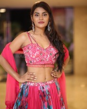 Actress Garima at Seetha Kalyana Vaibhogame Pre Release Event Pictures 51