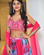 Actress Garima at Seetha Kalyana Vaibhogame Pre Release Event Pictures 61 Actress Garima at Seetha Kalyana Vaibhogame Pre Release Event Pictures 61