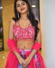 Actress Garima at Seetha Kalyana Vaibhogame Pre Release Event Pictures 65