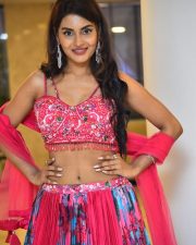 Actress Garima at Seetha Kalyana Vaibhogame Pre Release Event Pictures 66