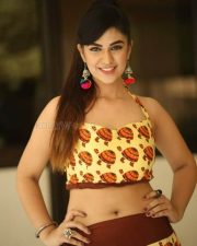 Actress Harshita Panwar Interview Pictures 71