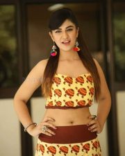 Actress Harshita Panwar Interview Pictures 75