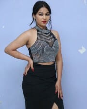 Actress Inaya Sultana at Nataratnalu Movie Audio Launch Event Photos 20