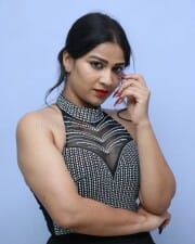 Actress Inaya Sultana at Nataratnalu Movie Audio Launch Event Photos 27