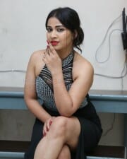 Actress Inaya Sultana at Nataratnalu Movie Audio Launch Event Photos 31