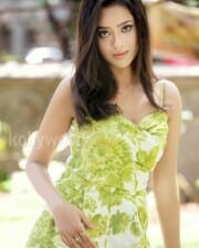 Actress Madalasa Sharma Sexy Pictures 12