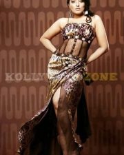 Actress Mumtaj Stills 11