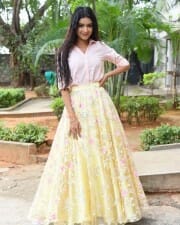 Actress Neha Solanki At Chalo Premiddam Movie Pre Release Press Meet Pictures 01