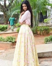 Actress Neha Solanki At Chalo Premiddam Movie Pre Release Press Meet Pictures 02