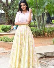Actress Neha Solanki At Chalo Premiddam Movie Pre Release Press Meet Pictures 04