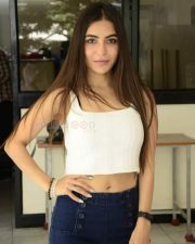 Actress Nikkesha at Missing Movie Promotional Song Launch Photos 40