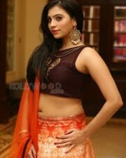 Actress Priyanka Sexy Stills 03