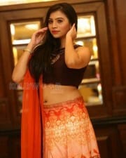 Actress Priyanka Sexy Stills 06