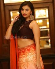 Actress Priyanka Sexy Stills 07