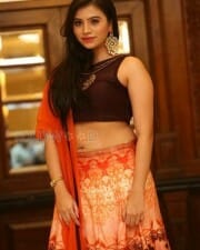 Actress Priyanka Sexy Stills 09