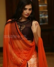Actress Priyanka Sexy Stills 10