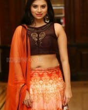 Actress Priyanka Sexy Stills 20