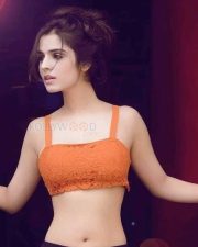 Actress Sidhika Sharma Hot Spicy Photos 05