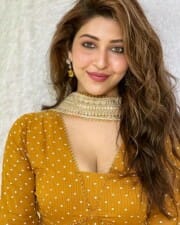 Actress Sonarika Bhadoria In A Brown Dress And Showing Cleavage Photos 01